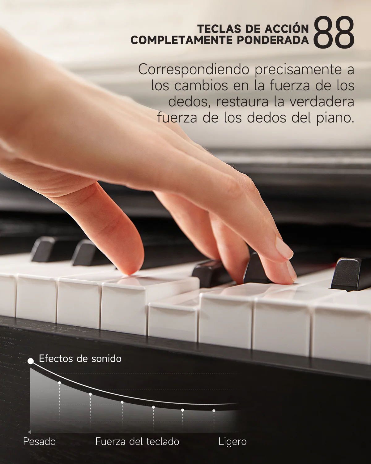 Imagen del producto 16