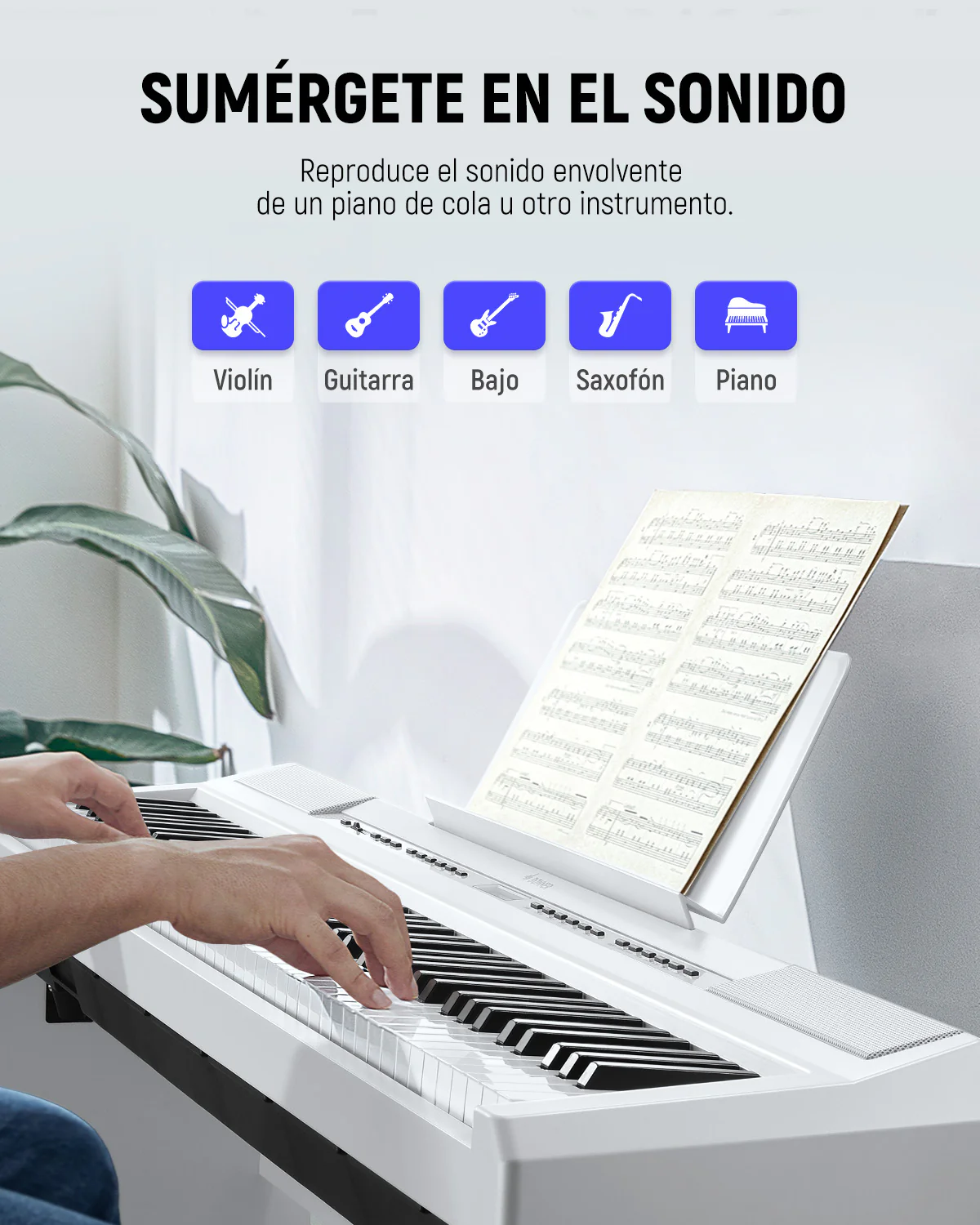 Imagen del producto 5
