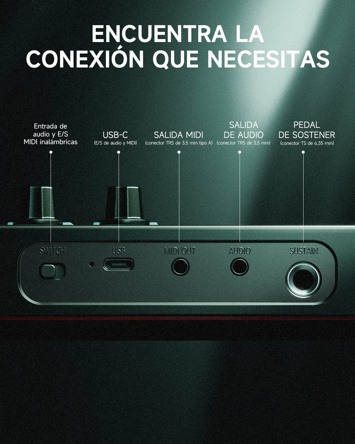 Imagen del producto 10